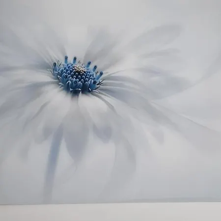 Appartamento Toplage Neubau Luxus-apartment, Und Altstadt In Minuten Zu Fuss Marbella