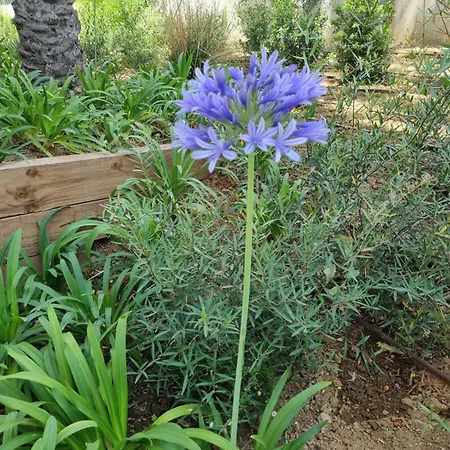 Toplage Neubau Luxus-apartment, Und Altstadt In Minuten Zu Fuss Appartement Marbellac
