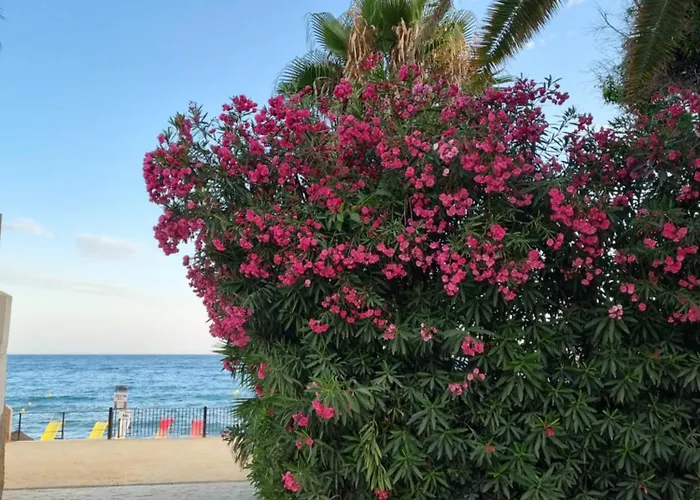 Toplage Neubau Luxus-apartment, Und Altstadt In Minuten Zu Fuss Marbella