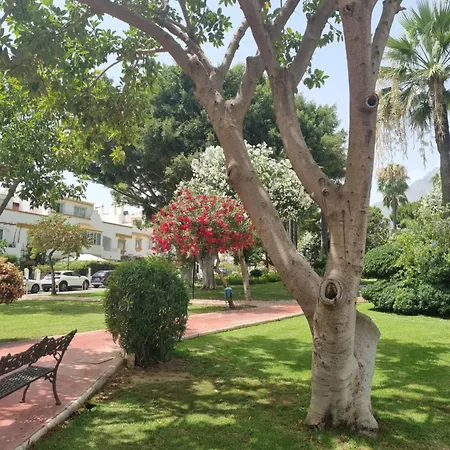 Toplage Neubau Luxus-apartment, Und Altstadt In Minuten Zu Fuss