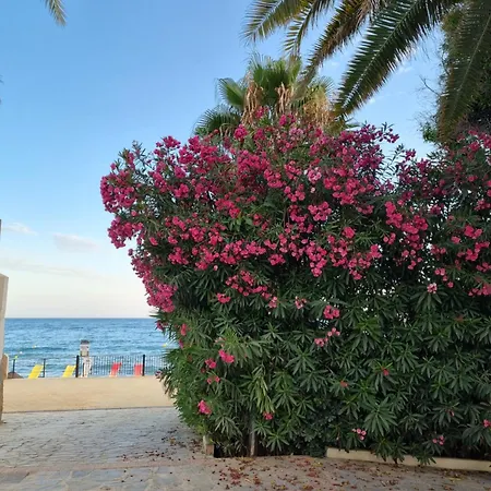 Toplage Neubau Luxus-apartment, Und Altstadt In Minuten Zu Fuss Marbella